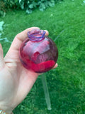 For Crissy-customer order