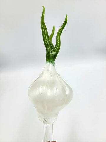 Garlic Blub Watering Globe